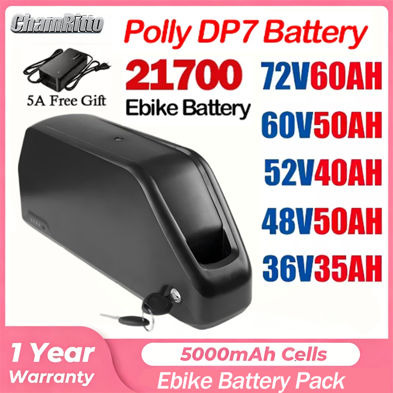Batería Hailong Polly de 52V 5 - 72V 40Ah Lifepo4 Battery Pack reseña y precio